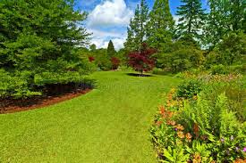 2026美加墨世界杯官网 宜兴城市绿化的植物品种